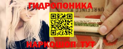 гидра Комсомольск-на-Амуре