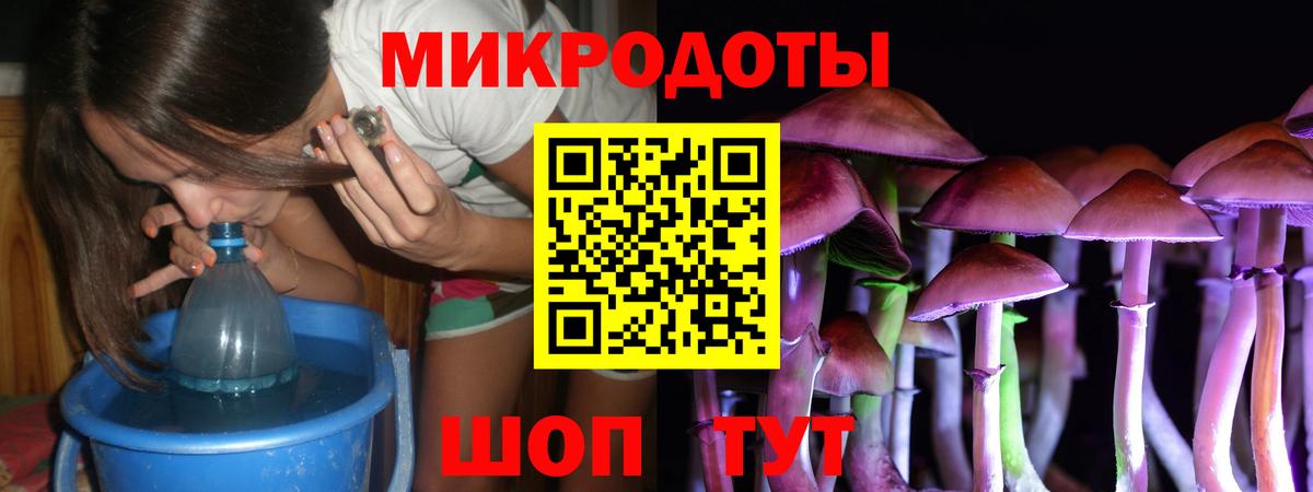 Галлюциногенные грибы Psilocybe  Вход с VPN  Кисловодск 